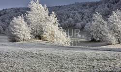 Zemljiste, Mrkopalj, Begovo Razdolje, prodaja, 210000 €, 18822 m2