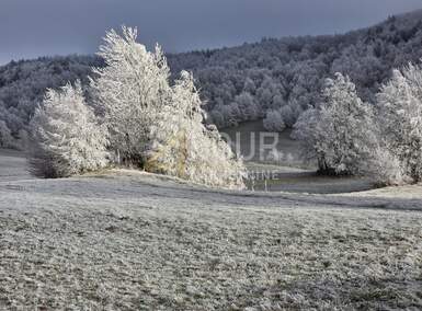 Zemljiste, Mrkopalj, Begovo Razdolje, prodaja, 210000 €, 18822 m2