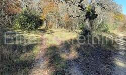 Zemljiste, Kanfanar, Barat, prodaja, 435000 €, 174000 m2