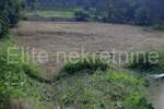 Zemljiste, Pazin, Lovrin, prodaja, 120000 €, 2676 m2