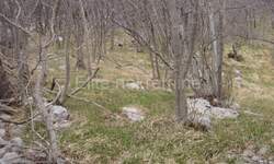 Zemljiste, Jelenje, Podhum, prodaja, 51500 €, 6400 m2