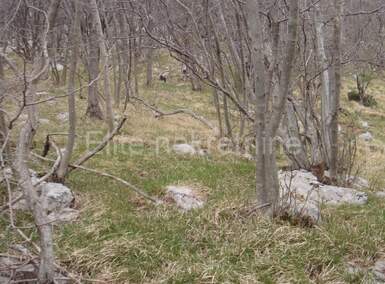 Zemljiste, Jelenje, Podhum, prodaja, 51500 €, 6400 m2