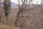 Zemljiste, Jelenje, Podhum, prodaja, 51500 €, 6400 m2