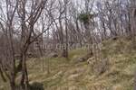 Zemljiste, Jelenje, Podhum, prodaja, 51500 €, 6400 m2