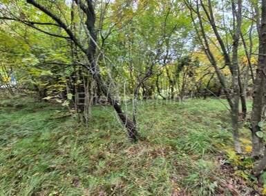 Zemljiste, Rijeka, Sjever, prodaja, 350000 €, 8522 m2