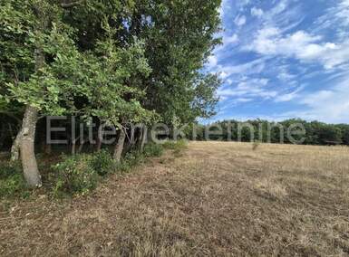 Zemljiste, Kaštelir-Labinci, Kaštelir, prodaja, 156767 €, 24118 m2