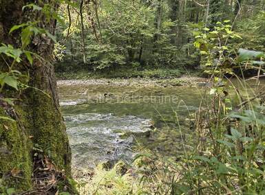 Zemljiste, Vrbovsko, prodaja, 11000 €, 4035 m2