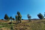 Zemljiste, Mrkopalj, Begovo Razdolje, prodaja, 227000 €, 4920 m2