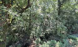 Zemljiste, Čavle, prodaja, 143000 €, 1386 m2