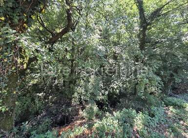 Zemljiste, Čavle, prodaja, 143000 €, 1386 m2