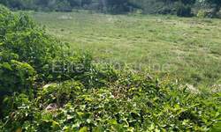 Zemljiste, Marčana, Kavran, prodaja, 179000 €, 1409 m2