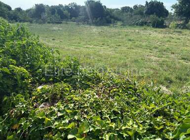 Zemljiste, Marčana, Kavran, prodaja, 179000 €, 1409 m2