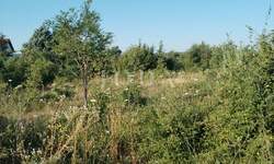 Zemljiste, Labin, prodaja, 90000 €, 2355 m2