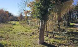 Zemljiste, Labin, prodaja, 110000 €, 2446 m2