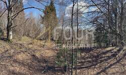 Zemljiste, Delnice, Crni Lug, prodaja, 199000 €, 2005 m2