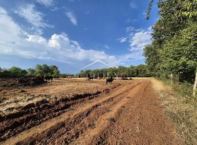 Zemljiste, Kaštelir-Labinci, Kaštelir, prodaja, 157000 €, 24118 m2