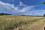 Zemljiste, Kaštelir-Labinci, Cerjani, prodaja, 294000 €, 32619 m2