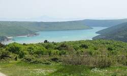 Zemljiste, Barban, Puntera, prodaja, 86500 €, 0 m2