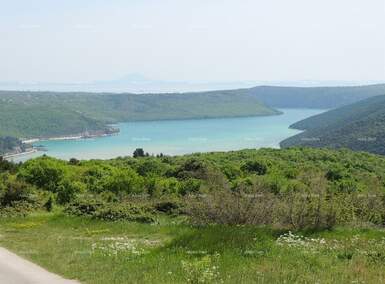 Zemljiste, Barban, Puntera, prodaja, 86500 €, 0 m2