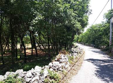 Zemljiste, Rakalj, prodaja, 78000 €, 0 m2