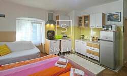 Jednosoban stan, Rijeka, Centar, najam, 450 €, 27 m2