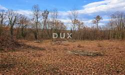 Zemljiste, Tinjan, Kringa, prodaja, 94999 €, 1150 m2