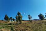 Zemljiste, Mrkopalj, Begovo Razdolje, prodaja, 220000 €, 4921 m2
