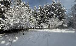 Zemljiste, Mrkopalj, prodaja, 52000 €, 885 m2