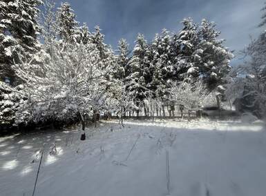 Zemljiste, Mrkopalj, prodaja, 52000 €, 885 m2