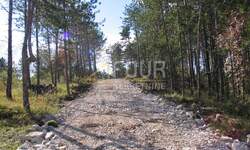 Zemljiste, Pazin, Lindar, prodaja, 390000 €, 39091 m2