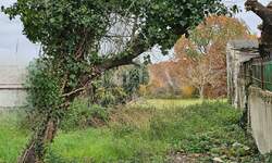 Zemljiste, Brtonigla, prodaja, 94000 €, 517 m2