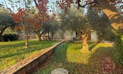 Kuca, Buje, prodaja, 425000 €, 140 m2