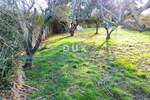 Zemljiste, Medulin, prodaja, 59000 €, 600 m2