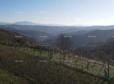 Zemljiste, Pazin, prodaja, 171500 €, 0 m2