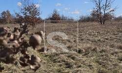 Zemljiste, Svetvinčenat, prodaja, 110000 €, 1536 m2