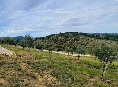 Zemljiste, Buje, prodaja, 85000 €, 0 m2