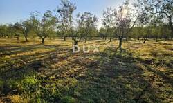 Zemljiste, Ližnjan, Šišan, prodaja, 198000 €, 8760 m2