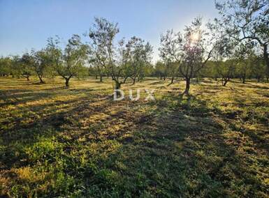 Zemljiste, Ližnjan, Šišan, prodaja, 198000 €, 8760 m2