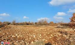 Zemljiste, Vodnjan, prodaja, 170000 €, 916 m2