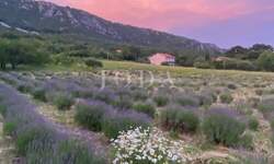 Zemljiste, Vinodol, Bribir, prodaja, 140000 €, 1250 m2