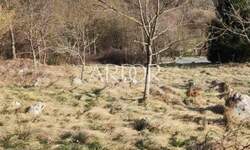 Zemljiste, Vrbovsko, Severin na Kupi, prodaja, 78000 €, 2365 m2