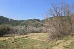 Zemljiste, Buzet, prodaja, 29000 €, 3060 m2