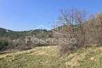 Zemljiste, Buzet, prodaja, 29000 €, 3060 m2
