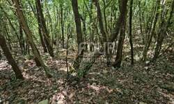 Zemljiste, Marčana, Krnica, prodaja, 146670 €, 14670 m2