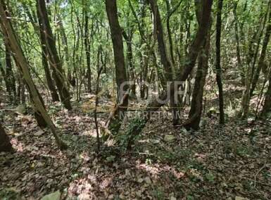 Zemljiste, Marčana, Krnica, prodaja, 146670 €, 14670 m2