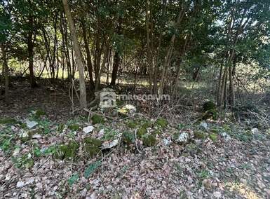 Zemljiste, Sveta Nedelja, Šumber, prodaja, 69000 €, 637 m2