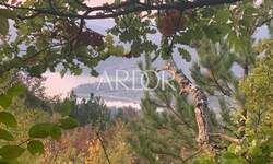 Zemljiste, Pazin, Butoniga, prodaja, 485000 €, 44000 m2