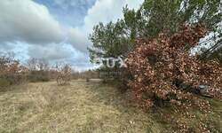 Zemljiste, Svetvinčenat, Štokovci, prodaja, 90000 €, 4503 m2