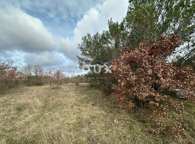 Zemljiste, Svetvinčenat, Štokovci, prodaja, 90000 €, 4503 m2