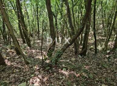 Zemljiste, Marčana, Pavićini, prodaja, 146700 €, 14670 m2